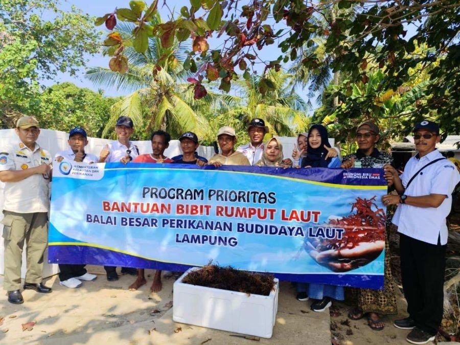 Budidaya Rumput Laut Kemujan Belum Panen, Pembangunan Masih Berjalan