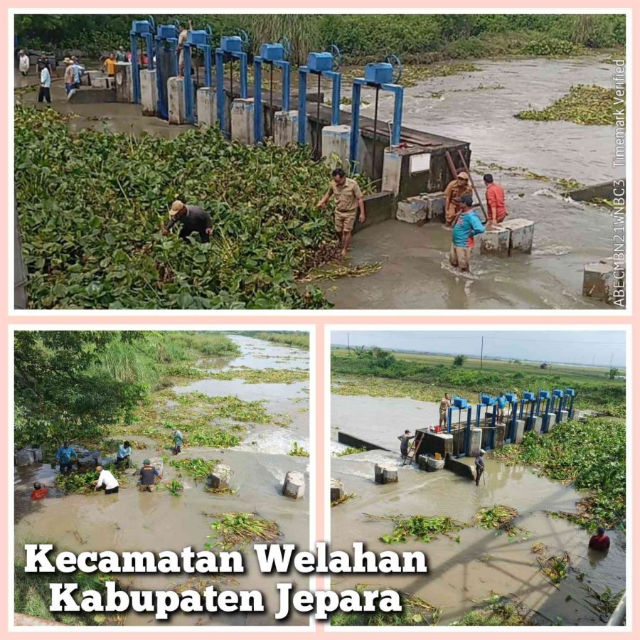 Camat Welahan Turun Langsung di Wilayah Banjir Bersama Jajaran Pemdes 