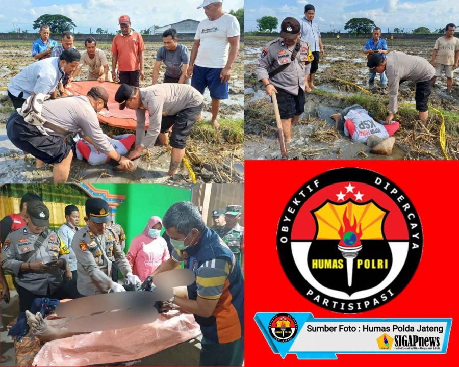 Di Sragen, Seorang Kakek Ditemukan Meninggal Dunia di Area Persawahan