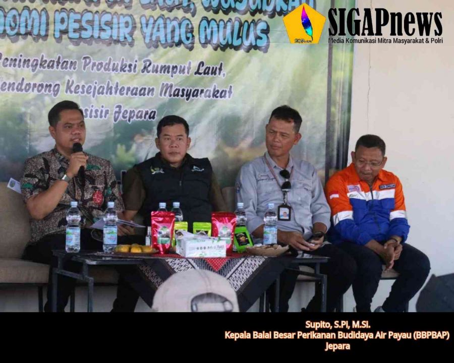 Dukungan BBPBAP untuk Budidaya Rumput Laut di Jepara