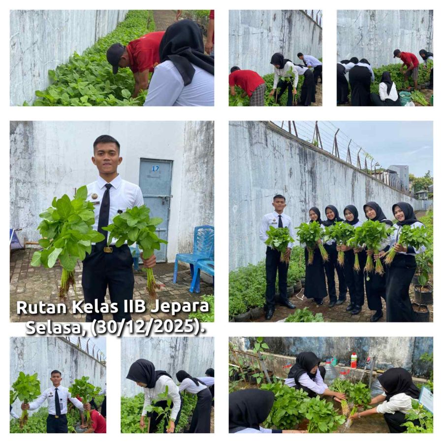 Ketahanan Pangan Terus Tumbuh, Bayam Hasil Panen Rutan Jepara Tembus Pasar Lokal