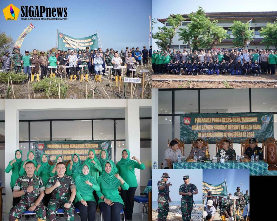 Kodim 0719/Jepara Giat Penanaman Bibit Mangrove Dalam Rangka Peringati HUT TNI yang ke-79