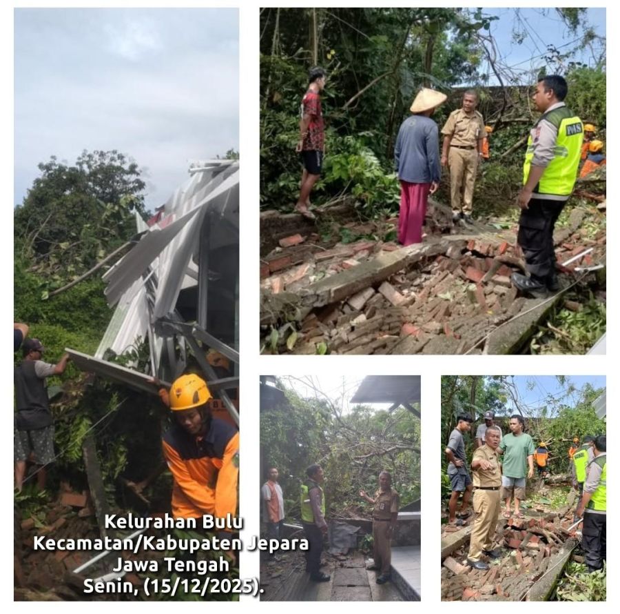 Laporkan Bencana Pohon Tumbang di Wilayahnya dan Berinisiatif Ajukan Bantuan ke Pemkab Jepara 