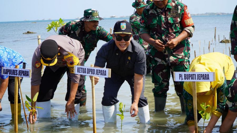 Lindungi Ekosistem, Ketua DPRD Jepara Terjun Langsung Tanam Mangrove Bersama Masyarakat