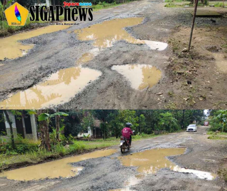 Permintaan Warga, Mohon DPUPR Jepara Segera Perbaiki Jalan Rusak Parah di Desa Damarjati