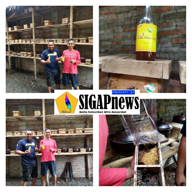 Omah Ra & Fi Desa Bawu Penghasil Madu Klanceng Asli Jepara