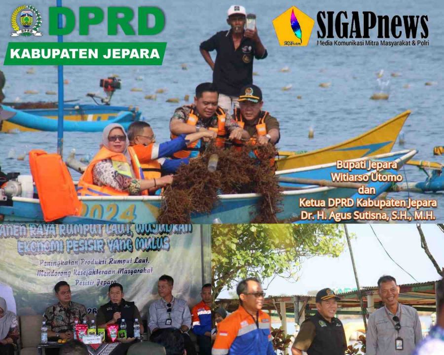 Panen Raya Rumput Laut di Desa Bondo Jepara Hasilkan Ratusan Ton