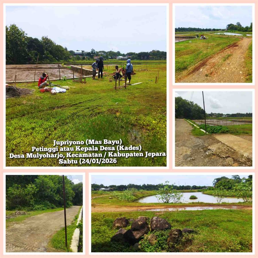 Pemdes Mulyoharjo Rencanakan Pengembangan Wisata Alam dan Religius Terintegrasi di Area Sawah Jombor