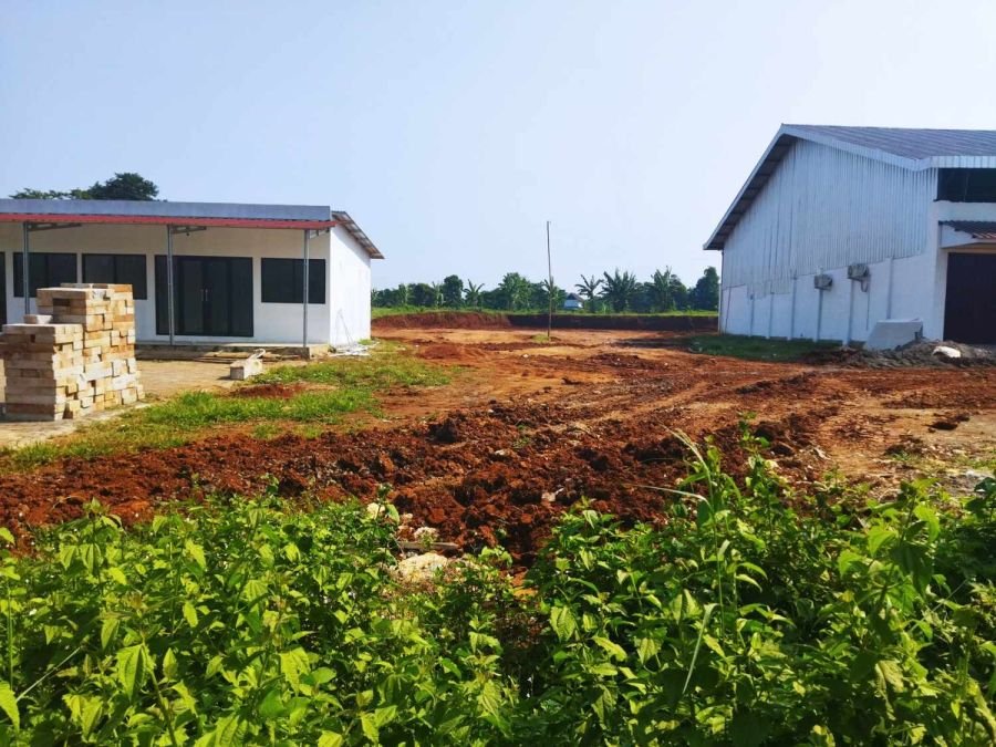 Proses Pembukaan dan Pemerataan Lahan Proyek IKN Desa Ngabul Libatkan APH