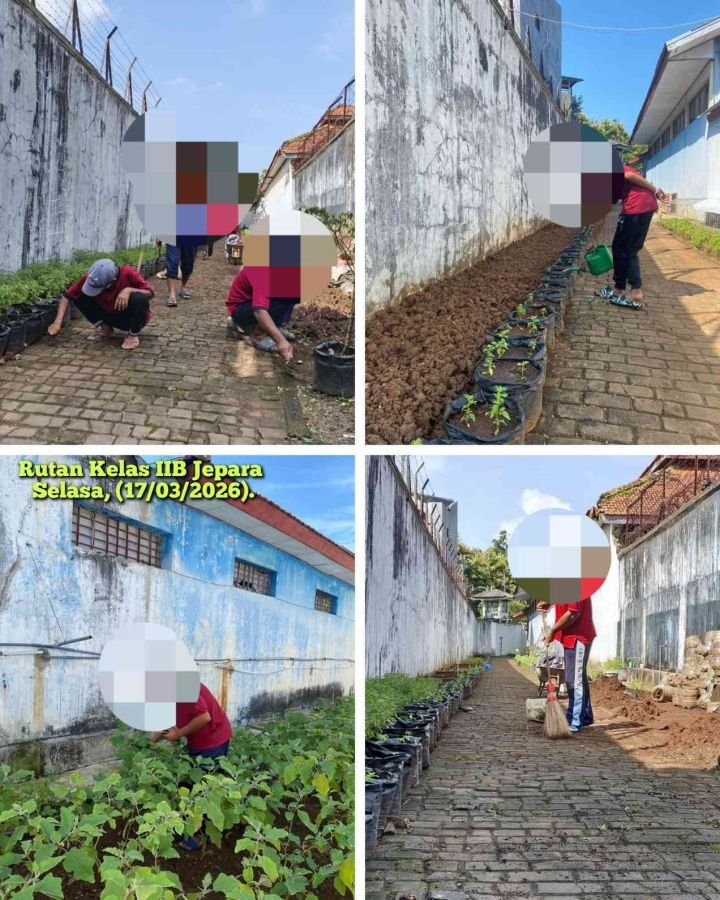 Ramadan Produktif: WBP Rutan Jepara Panen Terong dan Rawat Lahan Branggang Demi Ketahanan Pangan