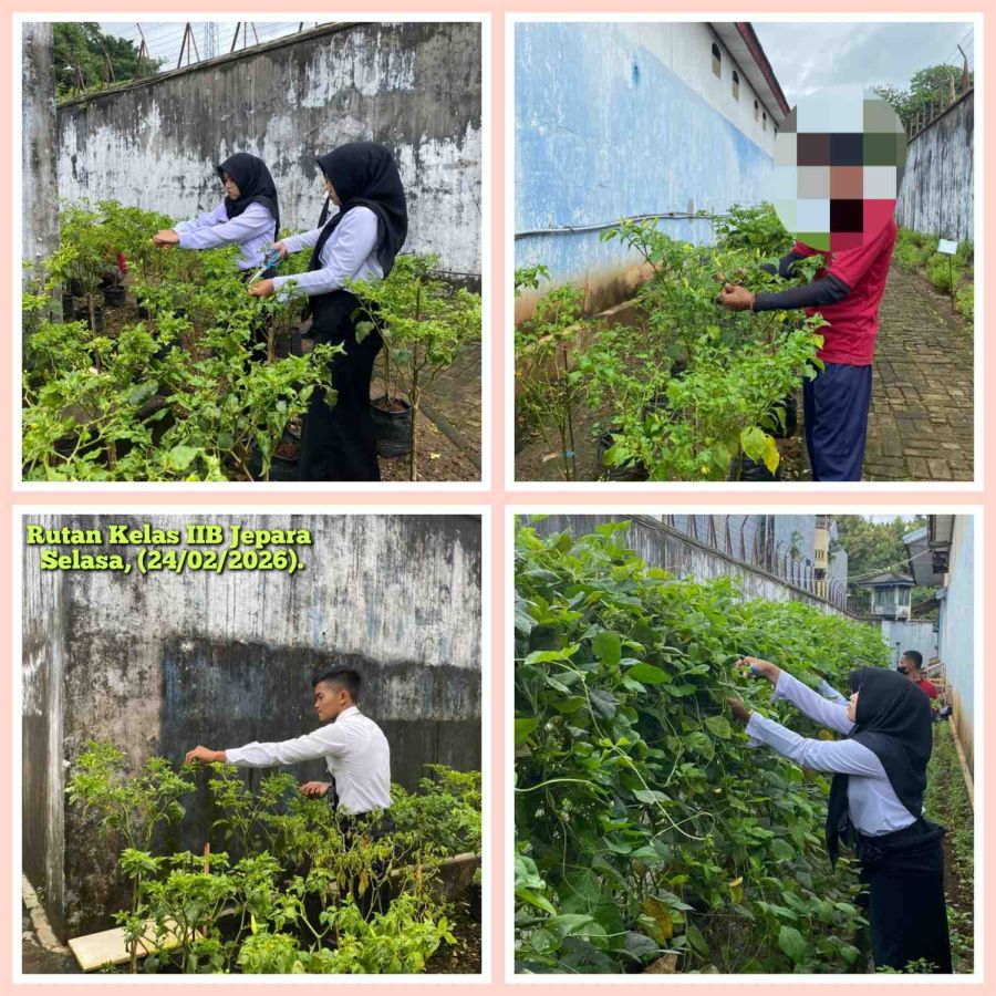 Rutan Kelas IIB Jepara Panen Kacang Panjang dan Cabai di Branggang