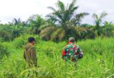 Babinsa Koramil 10 Kunto Darussalam Kodim 0313/KPR Menghadiri Rapat Pembubaran Panitia HUT RI 